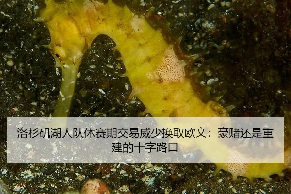 luo-shan-ji-hu-ren-dui-xiu-sai-qi-jiao-yi-wei-shao-huan-qu-ou-wen-hao-du-hai-shi-chong-jian-de-shi-zi-lu-kou-2-855.jpg