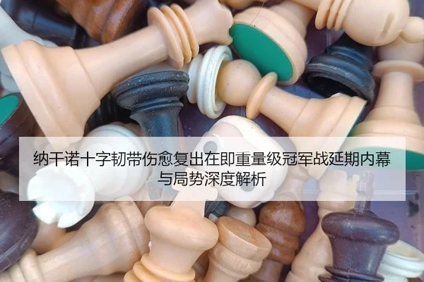 纳干诺十字韧带伤愈复出在即重量级冠军战延期内幕与局势深度解析