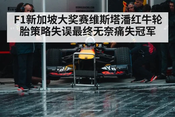 Red Bull Racing pit stop