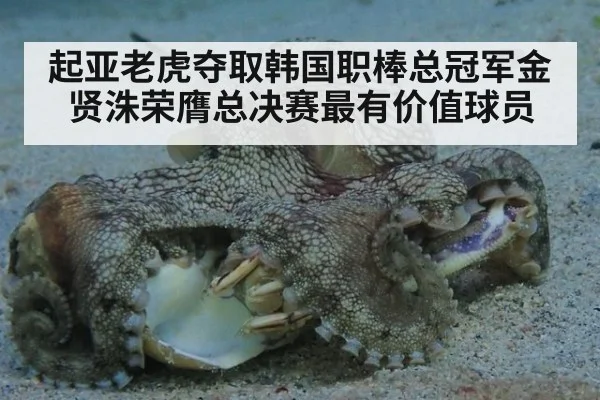 起亚老虎夺取韩国职棒总冠军金贤洙荣膺总决赛最有价值球员